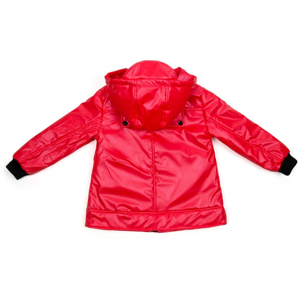 Куртка Brilliant "Miracle" (20708-122G-red) зображення 2