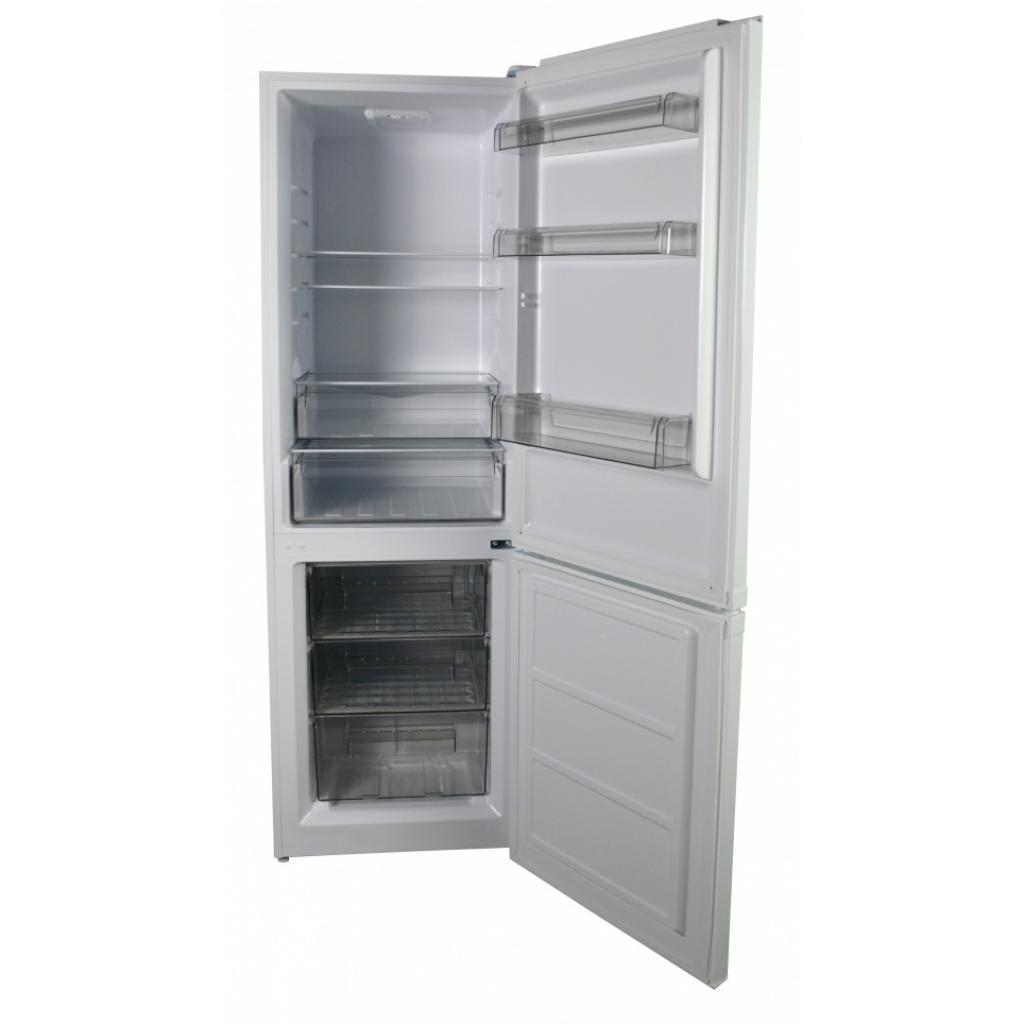 Холодильник Grunhelm GRW-185DD зображення 2