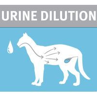 Влажный корм для кошек Purina Pro Plan Hydra Сare для увеличения потребления воды и разведения мочи (7613038944593) изображение 6