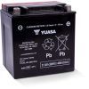 Аккумулятор автомобильный Yuasa 12V 31.6Ah High Performance MF VRLA Battery AGM (YIX30L-BS)