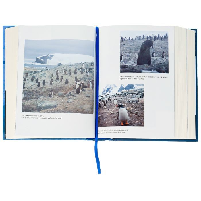 Книга Мрія про Антарктиду - Маркіян Прохасько Видавництво Старого Лева (9789666799886) изображение 5