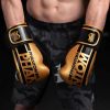 Боксерские перчатки Phantom APEX Elastic Gold 16oz (PHBG2215-16) изображение 4