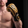 Боксерские перчатки Phantom APEX Elastic Gold 16oz (PHBG2215-16) изображение 5