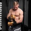 Боксерские перчатки Phantom APEX Elastic Gold 16oz (PHBG2215-16) изображение 8