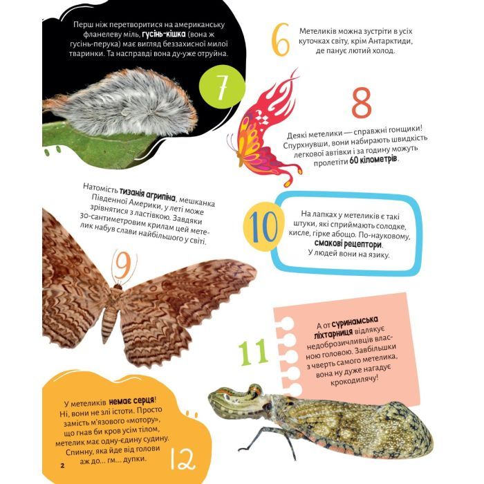 Книга Комахи. 100 цікавих фактів - Ольга Пилипенко Vivat (9789669829856) зображення 2