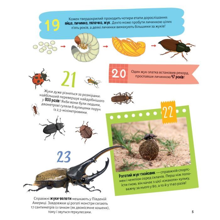 Книга Комахи. 100 цікавих фактів - Ольга Пилипенко Vivat (9789669829856) зображення 5