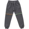 Штаны детские Joi спортивные флисовые (E-505-170B-gray) изображение 2