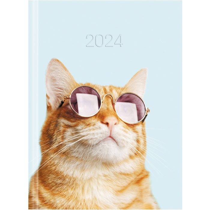 Тижневик Economix датований 2024 COLOR, А5 (E21843)