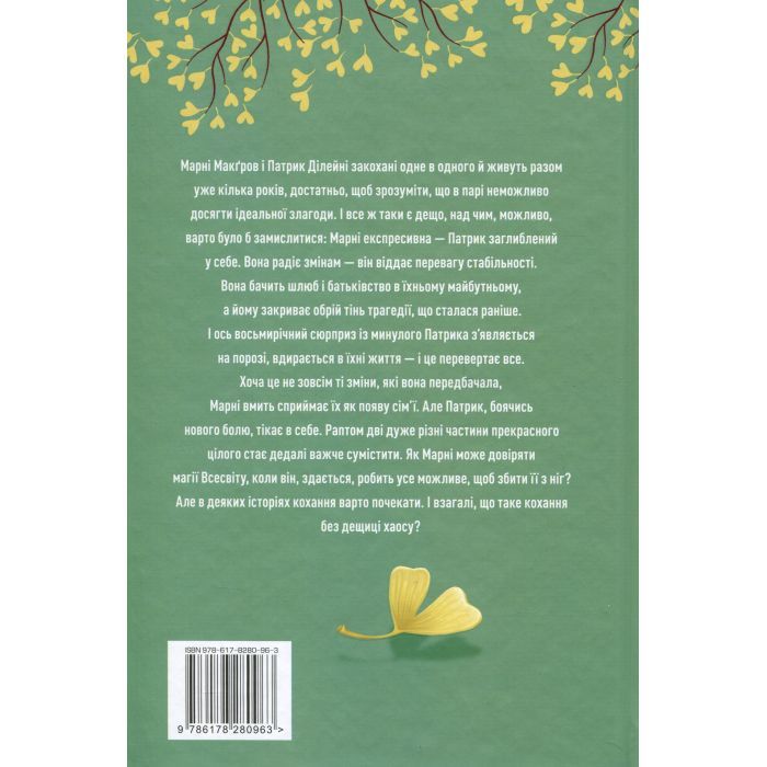 Книга Щаслива катастрофа - Медді Довсон Видавництво РМ (9786178280963) изображение 2