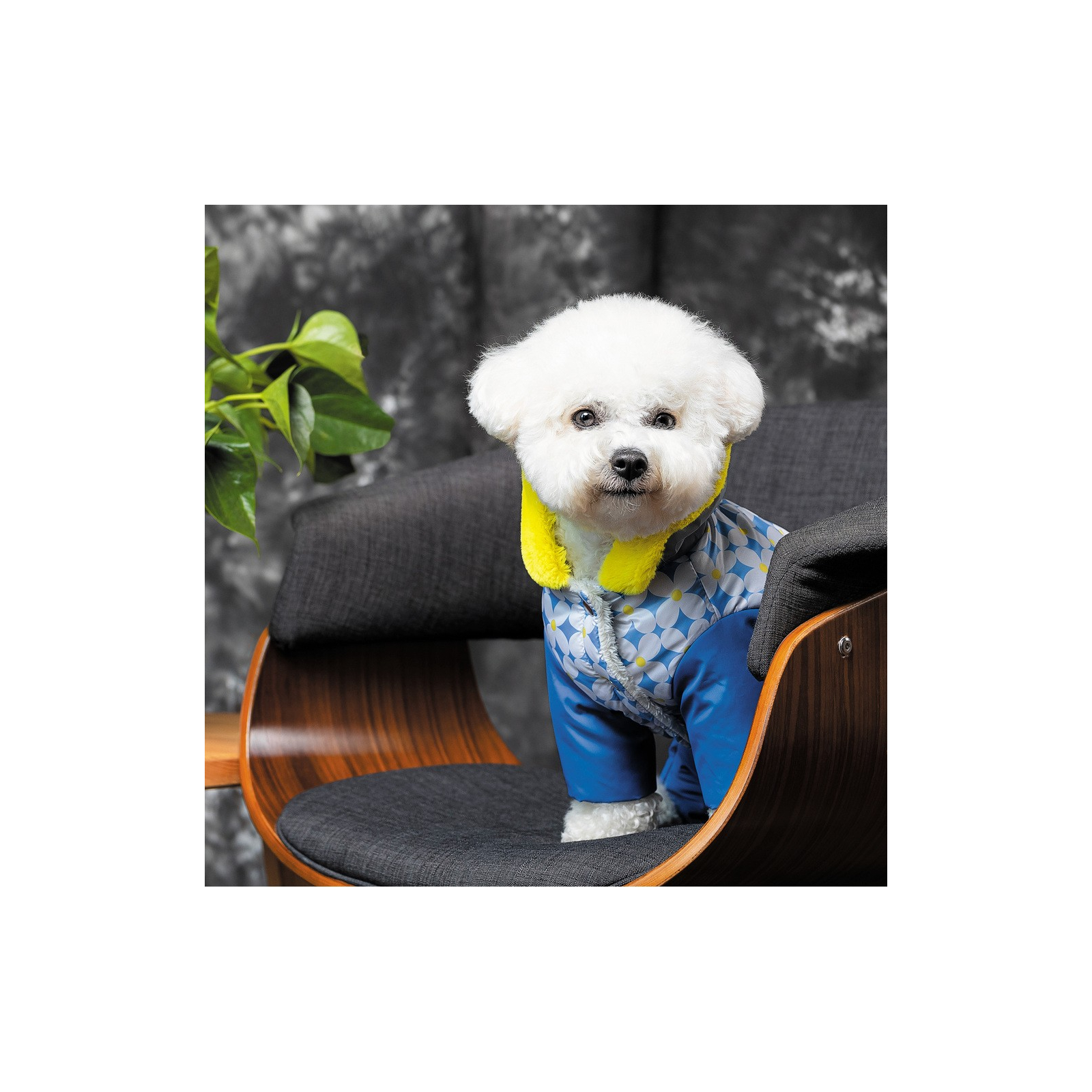 Костюм для животных Pet Fashion Leaf S зеленый (4823082431465) изображение 6