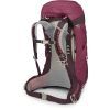 Рюкзак туристический Osprey Sirrus 36 elderberry purple/chiru tan O/S (009.3590) изображение 3