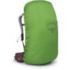 Рюкзак туристический Osprey Sirrus 36 elderberry purple/chiru tan O/S (009.3590) изображение 4