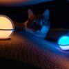 Фонарь Olight Sphere (0.0008.0064) изображение 8