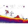 Эхолот Lowrance EAGLE-5 SPLITSHOT HD ROW (000-16112-001) изображение 9