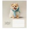 Тетрадь Школярик Star Fashion pets 12 листов клетка (012-3687K) изображение 5