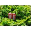 Батарейка Panasonic C R14 RED ZINK * 2 (R14REL/2BPR) изображение 3