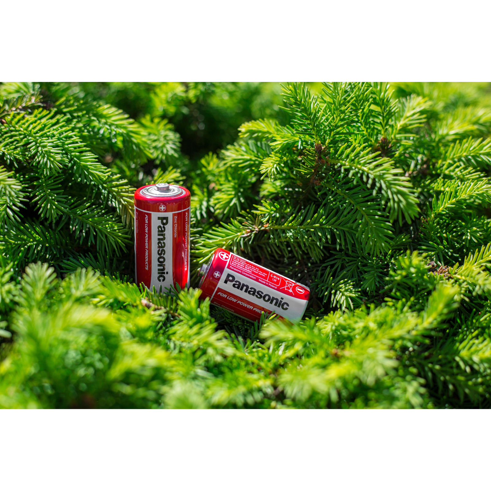Батарейка Panasonic C R14 RED ZINK * 2 (R14REL/2BPR) изображение 5