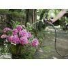 Поливочный шланг Karcher Performance Premium 1/2 - 20 м (2.645-324.0) изображение 2
