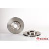 Гальмівний диск Brembo 09.A905.10 зображення 2