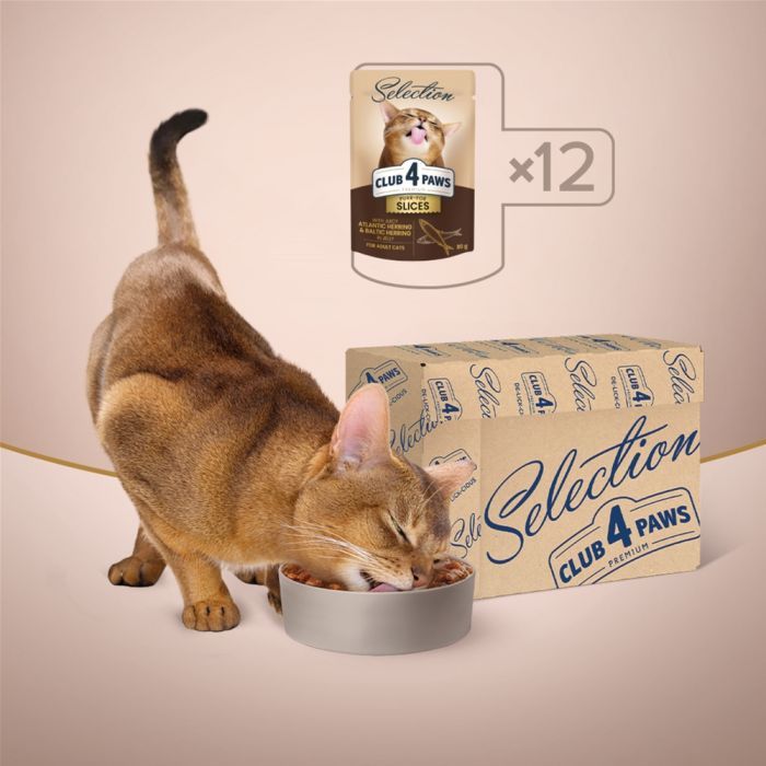 Вологий корм для кішок Club 4 Paws Paws Selection Преміум Шматочки з оселедцем та салакою в желе 80 г (4820215368025) зображення 7