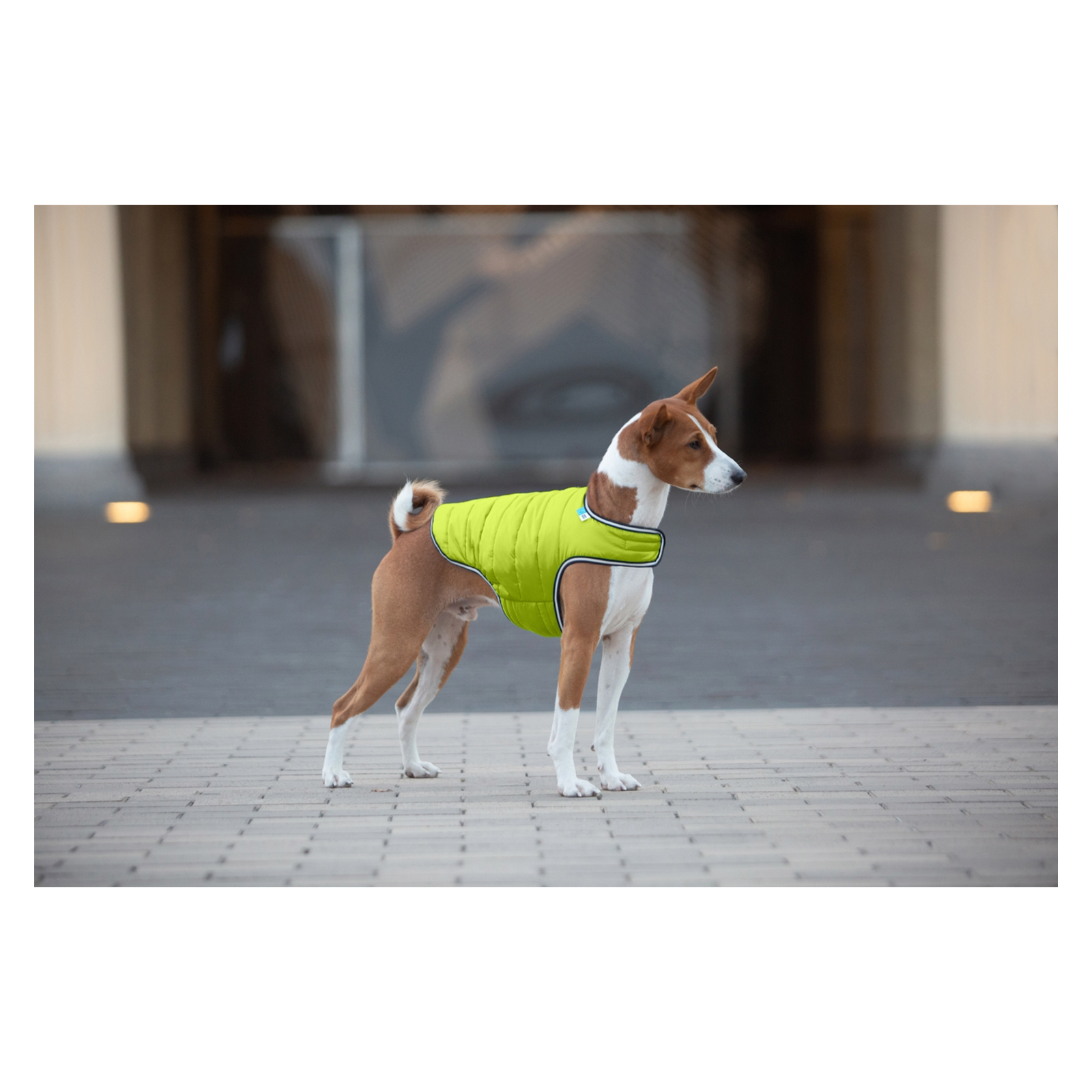 Курточка для животных Airy Vest XL салатовая (15455) изображение 4