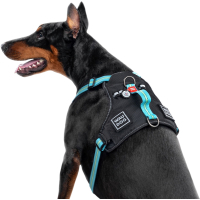 Шлей для собак WAUDOG Nylon безопасна с QR паспортом XL фиолетовая (52519) изображение 4