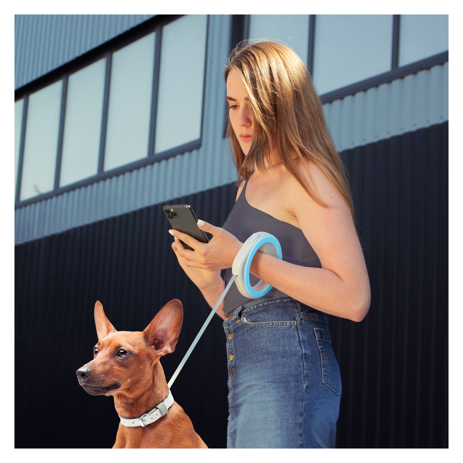Повідок для собак WAUDOG R-leash світловідбиваюча стрічка XS-M до 40 кг 2.9 м блакитни (81272) зображення 4