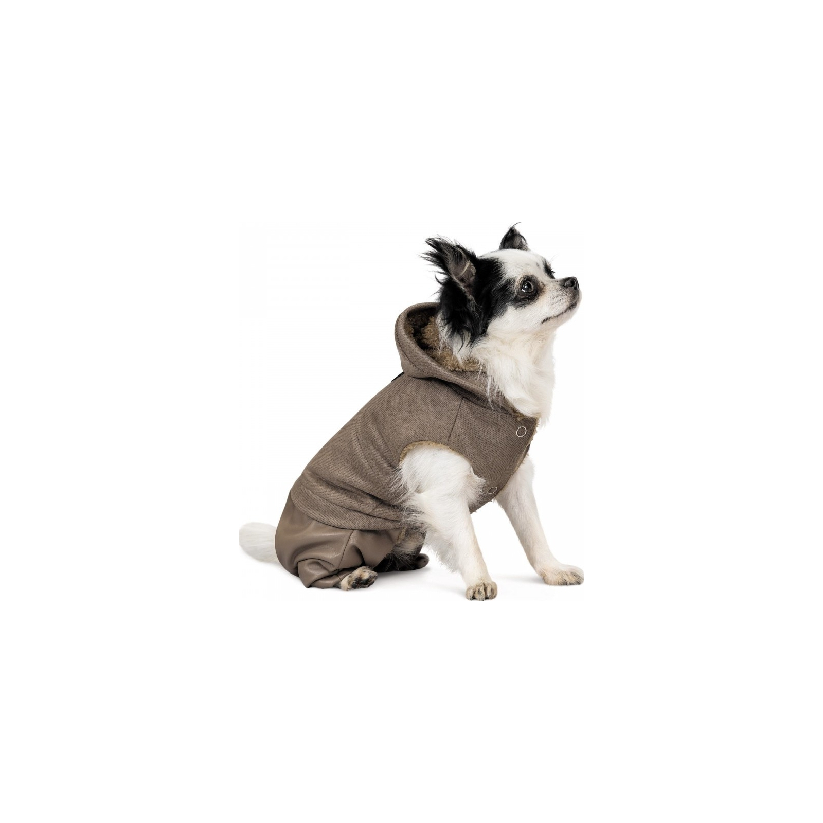 Костюм для животных Pet Fashion PF Style XS2 бежевый (4823082427963) изображение 2