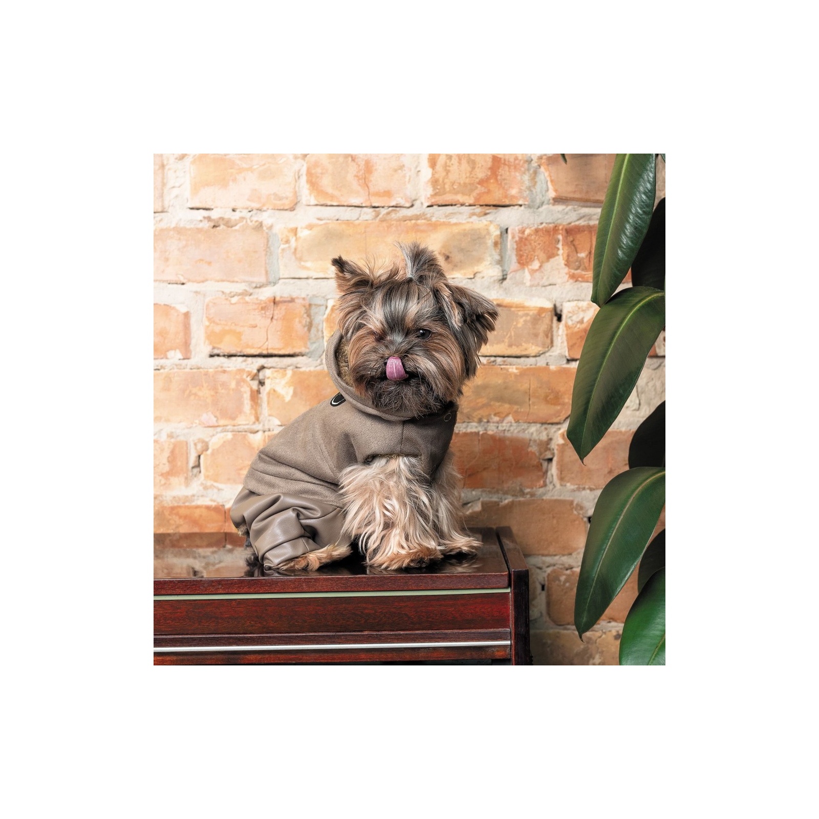 Костюм для животных Pet Fashion PF Style XS2 бежевый (4823082427963) изображение 5