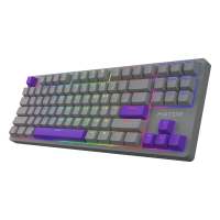 Клавіатура Hator Rockfall 2 Autograph Edition Mecha TKL Aurum Choco USB Titanium (HTK-526) зображення 3