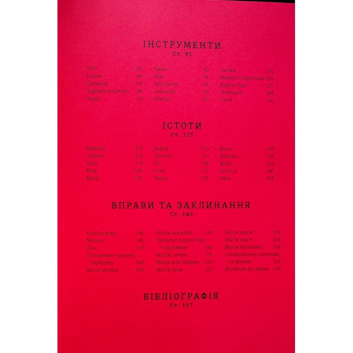 Книга Чарівники й чаклунки: посібник із магії для початківців - Франческа Маттеоні #книголав (9786178286125) изображение 4