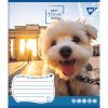 Тетрадь Yes Best travel blogger 36 листов клетка (767060) изображение 6