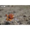 Пазл Eugy 3D Зоопарк Лев (XEG-070) зображення 7