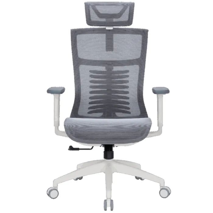 Офісне крісло OfficePro Balance OC620-W-DG-DG (OC620-W-DG-DG)