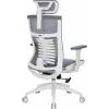 Офісне крісло OfficePro Balance OC620-W-DG-DG (OC620-W-DG-DG) зображення 4
