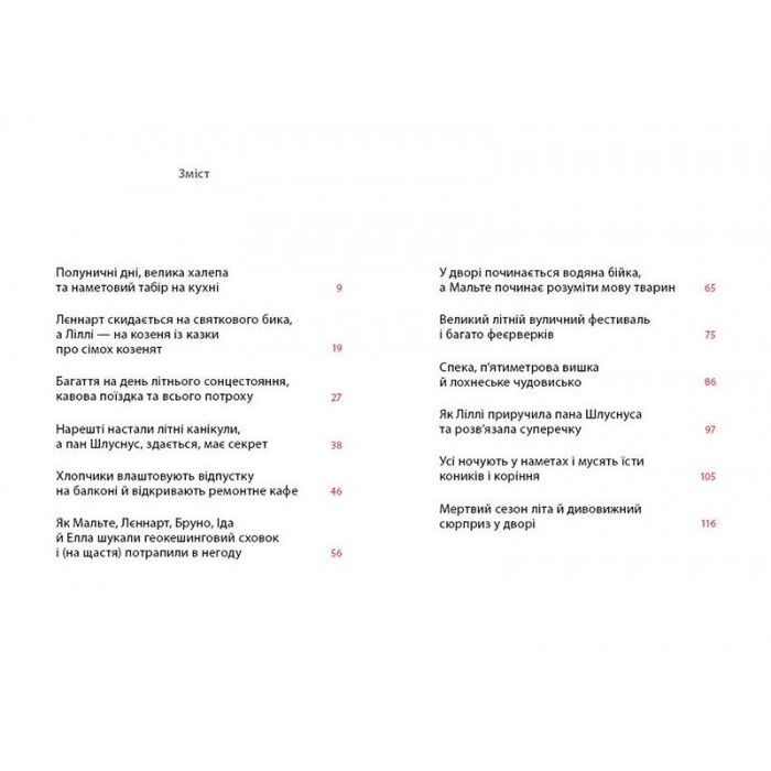 Книга Літо на Бузиновій вулиці - Мартіна Баумбах Ранок (9786170969163) изображение 7