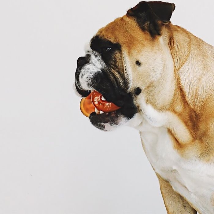 Игрушка для собак Bionic Кость оранжевая 12 см (0700603300919) изображение 2