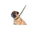 Поводок для собак Evolutor Самый крепкий Ш 25 мм Д 300 см хаки (421331) изображение 4