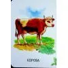 Книга Хто живе у будиночку Ранок (9786178773809) зображення 10