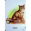 Книга Хто живе у будиночку Ранок (9786178773809) зображення 12