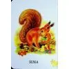 Книга Хто живе у будиночку Ранок (9786178773809) зображення 4