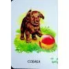 Книга Хто живе у будиночку Ранок (9786178773809) зображення 6