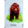 Книга Хто живе у будиночку Ранок (9786178773809) зображення 8