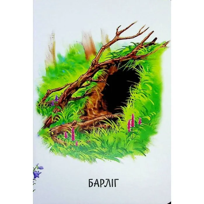 Книга Хто живе у будиночку Ранок (9786178773809) зображення 9