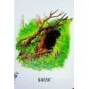 Книга Хто живе у будиночку Ранок (9786178773809) зображення 9