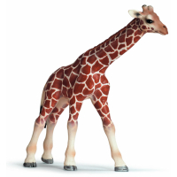 Фигурка Schleich Детеныш жирафа (14321)