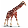 Фигурка Schleich Детеныш жирафа (14321)