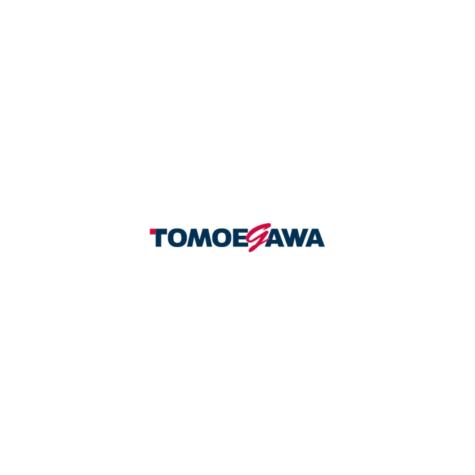Тонер BROTHER HL-5340 2x10кг Tomoegawa (BR-10-20)