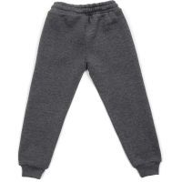 Штаны детские Joi спортивные (E-303-128B-gray) изображение 2