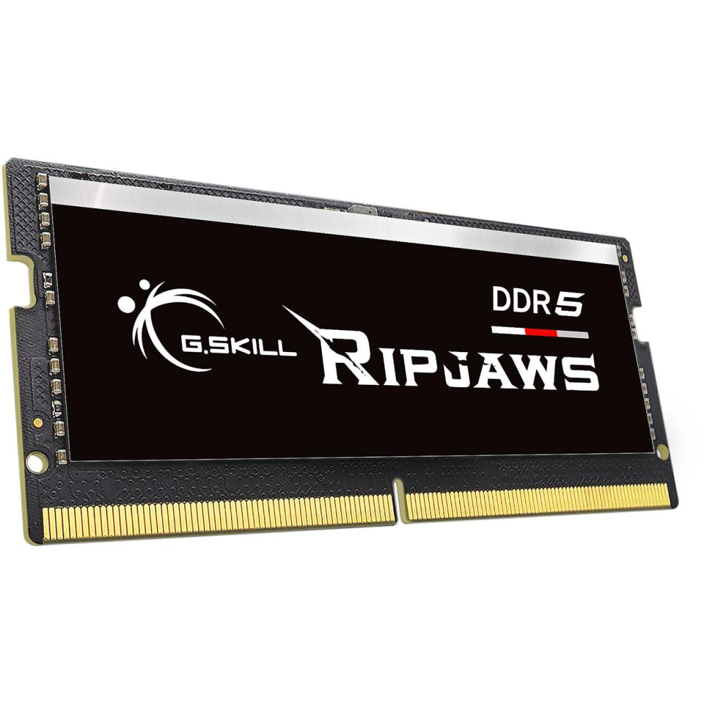 Модуль пам'яті для ноутбука SoDIMM DDR5 16GB 4800 MHz Ripjaws G.Skill (F5-4800S4039A16GX1-RS) зображення 3